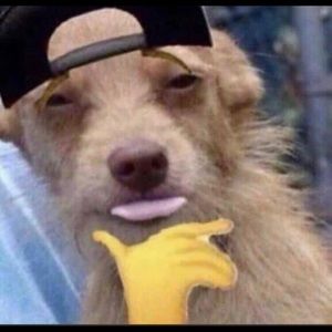 Meet your Posher, Genesis